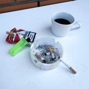 A cover of "Still life" cluster. The owner is shymiracle13. The cluster consists of 9 elements.