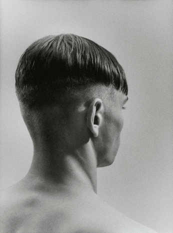 A cover of "pecou" cluster. The owner is juliolc. The cluster consists of 6 elements.