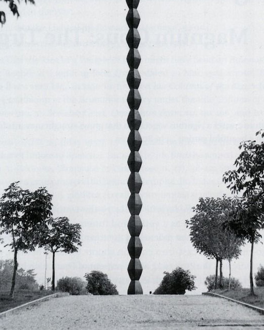 An Instagram carousel post added by colindancel on Jul 18, 2023. The author is @1605collective.