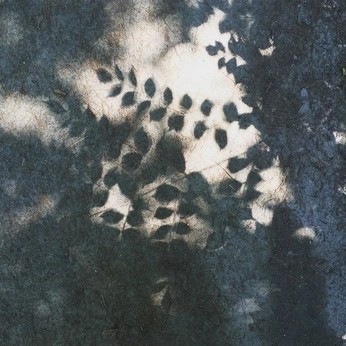 A cover of "Garden of Eden: SunPrint" cluster. The owner is samarakatherine. The cluster consists of 18 elements.