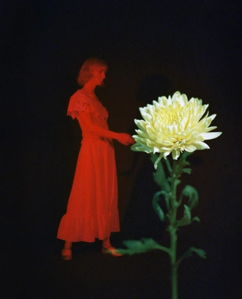 A cover of "fmp  moodboard" cluster. The owner is nhinl. The cluster consists of 11 elements.