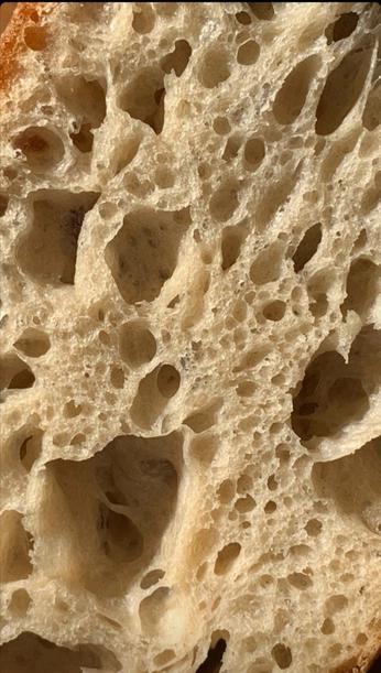 A cover of "PANETTHON" cluster. The owner is idea.fblab. The cluster consists of 12 elements.