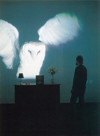 A cover of "KERING NOEL - IA" cluster. The owner is mavsc. The cluster consists of 12 elements.