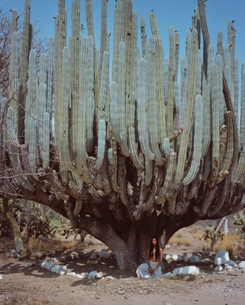 A cover of "Morph" cluster. The owner is mariglow. The cluster consists of 32 elements.