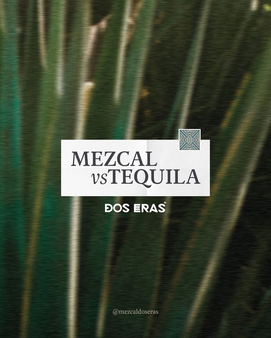 Tequila T7