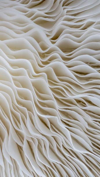 A cover of "Tactile Imagery" cluster. The owner is whoisnyasha. The cluster consists of 6 elements.