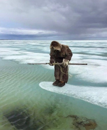 A cover of "What I love" cluster. The owner is jamiecjpg. The cluster consists of 5 elements.