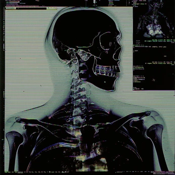 A cover of "animation" cluster. The owner is yuuuulg. The cluster consists of 1 element.