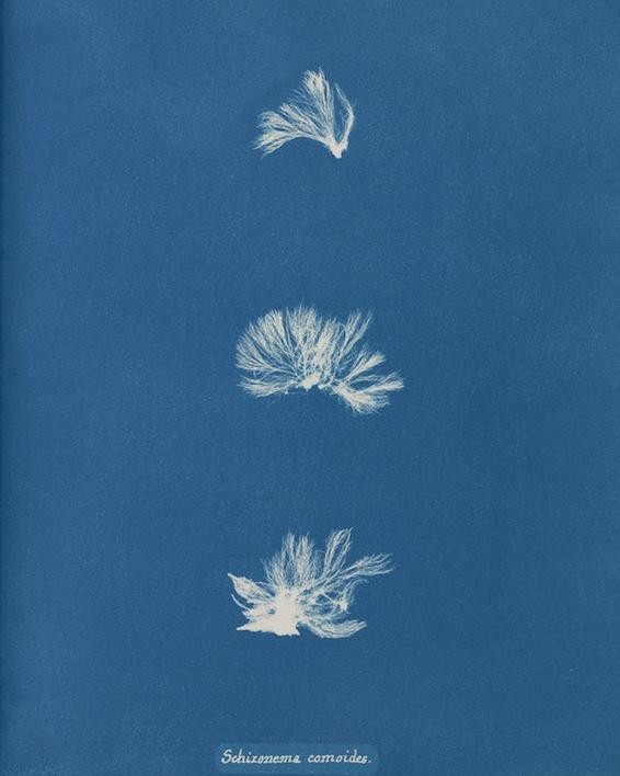 An Instagram carousel post added by ch1p666 on Mar 17, 2025. The author is @publicdomainrev.