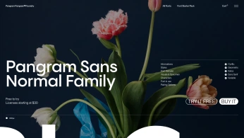 A cover of "Fonts" cluster. The owner is maythem. The cluster consists of 2 elements.