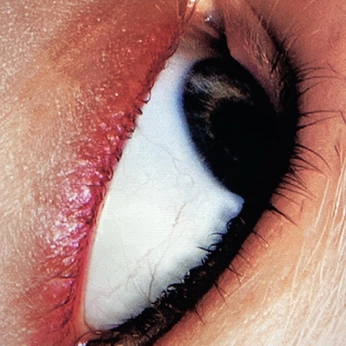 A cover of "REALITY" cluster. The owner is naytug. The cluster consists of 53 elements.