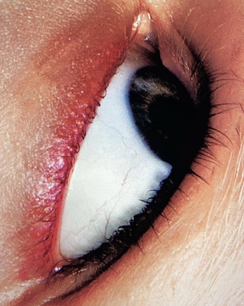 A cover of "Olho" cluster. The owner is camilarivereto. The cluster consists of 24 elements.