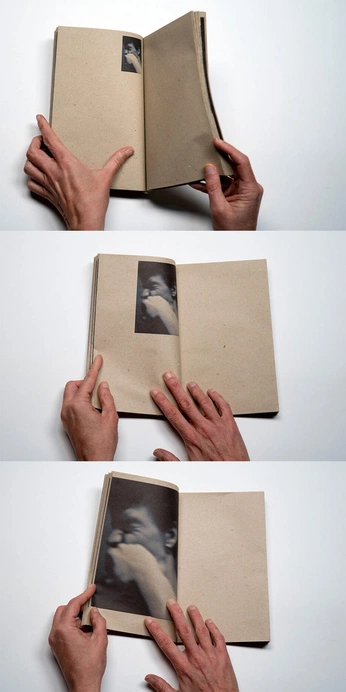 A cover of "BOOK 2.1" cluster. The owner is justvisser. The cluster consists of 2 elements.