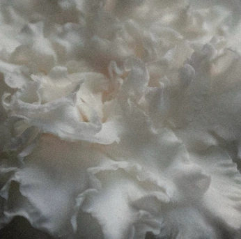 A cover of "textures" cluster. The owner is cosmicerin. The cluster consists of 4 elements.