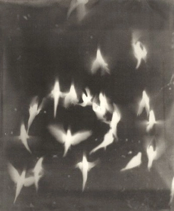 A cover of "sequence" cluster. The owner is sofiavnunes. The cluster consists of 14 elements.