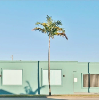 A cover of "D" cluster. The owner is hgwtprfs. The cluster consists of 1 element.