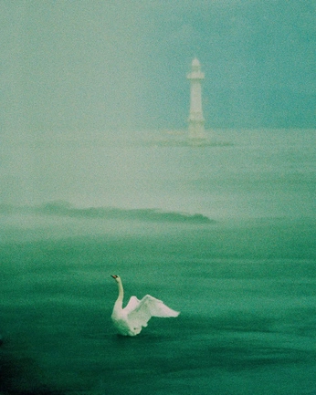 A cover of "i like!" cluster. The owner is leaah. The cluster consists of 13 elements.