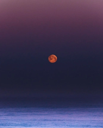 A cover of "sturgeon moon" cluster. The owner is mistandbone. The cluster consists of 8 elements.