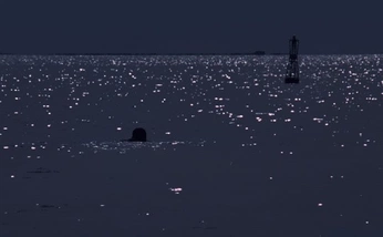 A cover of "randome" cluster. The owner is moch0mo. The cluster consists of 1 element.