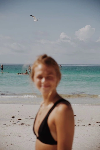 A cover of "travel" cluster. The owner is rlade. The cluster consists of 64 elements.