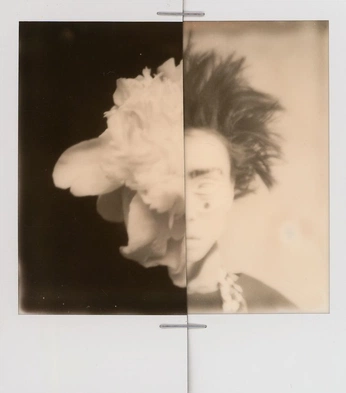 A cover of "Photo" cluster. The owner is satinpothos. The cluster consists of 1 element.