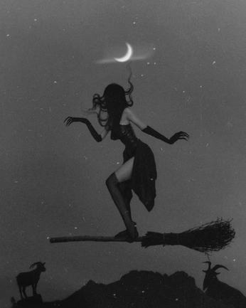 A cover of "wild feral thing" cluster. The owner is rene.gades. The cluster consists of 16 elements.