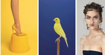 A cover of "Photography" cluster. The owner is airyn. The cluster consists of 8 elements.