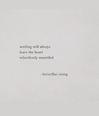 A cover of "Snipets" cluster. The owner is pufflag. The cluster consists of 1 element.