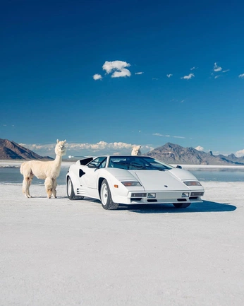 A cover of "EC AD" cluster. The owner is ec. The cluster consists of 20 elements.