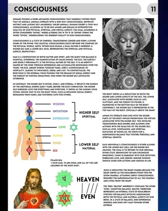 A cover of "Consciousness" cluster. The owner is femalephilosophy. The cluster consists of 2 elements.