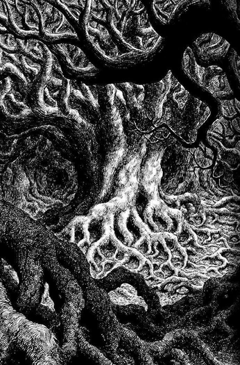 A cover of "Arboles" cluster. The owner is mr.wil. The cluster consists of 1 element.