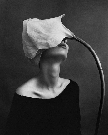 A cover of "portrety" cluster. The owner is whoismichalina. The cluster consists of 1 element.