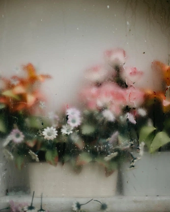 A cover of "photography" cluster. The owner is aarias. The cluster consists of 1 element.