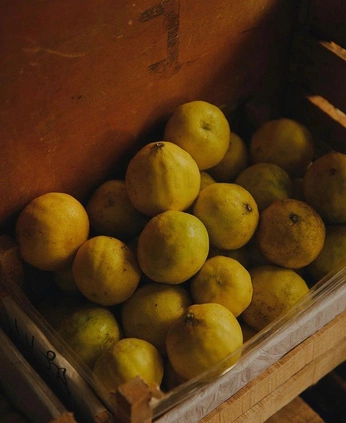 A cover of "Fruit" cluster. The owner is melmomood. The cluster consists of 7 elements.