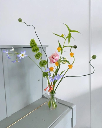 A cover of "buques" cluster. The owner is juuaragoni. The cluster consists of 1 element.