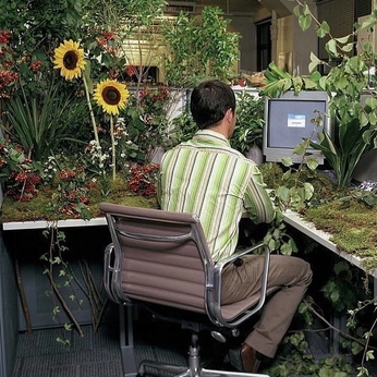 A cover of "plants & flowers" cluster. The owner is lunanorte. The cluster consists of 12 elements.