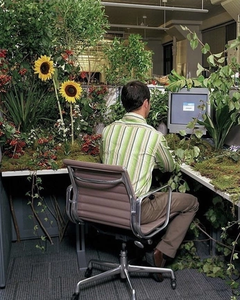 A cover of "aesthetic, baby" cluster. The owner is deadpiano. The cluster consists of 2 elements.