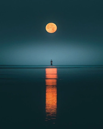 A cover of "paz" cluster. The owner is lailapaige. The cluster consists of 19 elements.