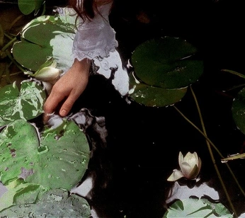 A cover of "Pretty" cluster. The owner is inma505. The cluster consists of 15 elements.