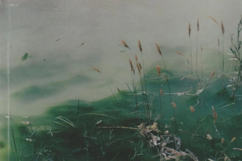 A cover of "9/3" cluster. The owner is b2soldier. The cluster consists of 17 elements.