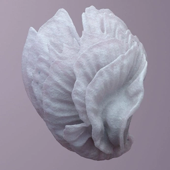 A cover of "Grape" cluster. The owner is mewig. The cluster consists of 1 element.