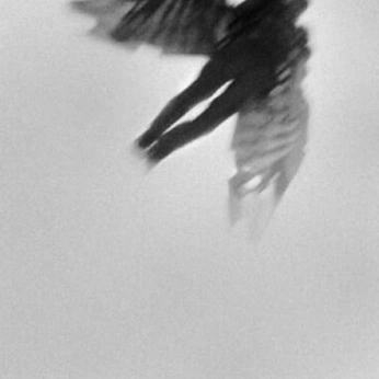 A cover of "firsy" cluster. The owner is zeebleoop. The cluster consists of 177 elements.