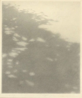 A cover of "light" cluster. The owner is olgalo. The cluster consists of 23 elements.