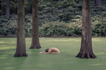 A cover of "nature core" cluster. The owner is dducci. The cluster consists of 22 elements.