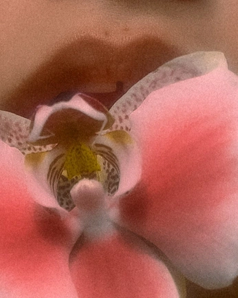 A cover of "Second Cluster" cluster. The owner is chrgml. The cluster consists of 76 elements.