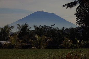 A cover of "Bali" cluster. The owner is ellychic. The cluster consists of 3 elements.