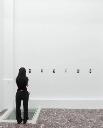 A cover of "timelines" cluster. The owner is shash.wt. The cluster consists of 20 elements.