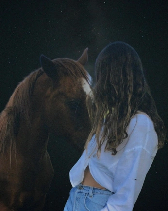 A cover of "Horse" cluster. The owner is danielac. The cluster consists of 2 elements.