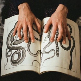 A cover of "c. dh&bh_afterhour" cluster. The owner is romdata. The cluster consists of 15 elements.