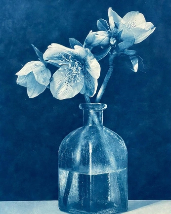 A cover of "art" cluster. The owner is karyakeeling. The cluster consists of 12 elements.